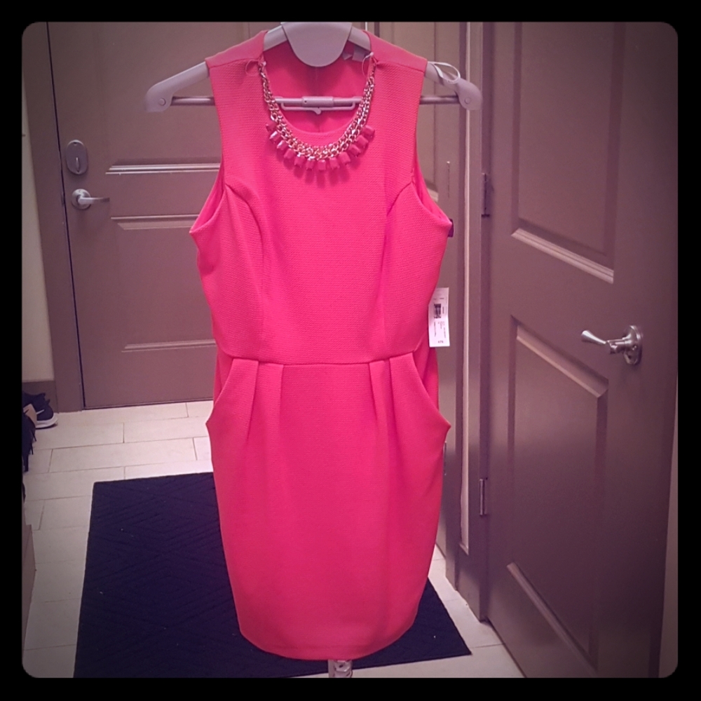 Bisou bisou pink dress